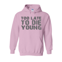 Too Late to Die Young 